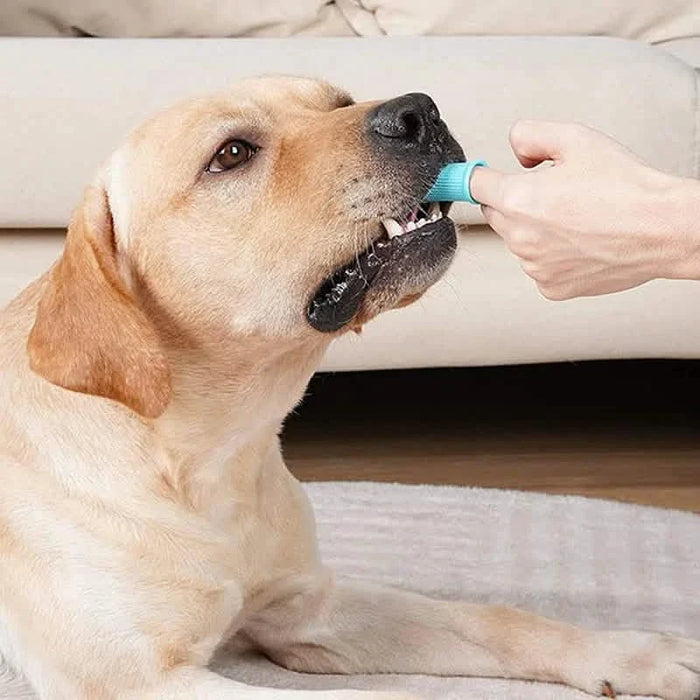 5-Pieces: Super Soft Pet Finger Toothbrush Teeth Cleaning Silicone Tooth Brush by DailySale