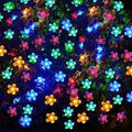 50 LED Fairy Flower Blossom Solar String Lights by DailySale