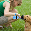 500ml Pet Water Bottle Portable Water Cup by DailySale