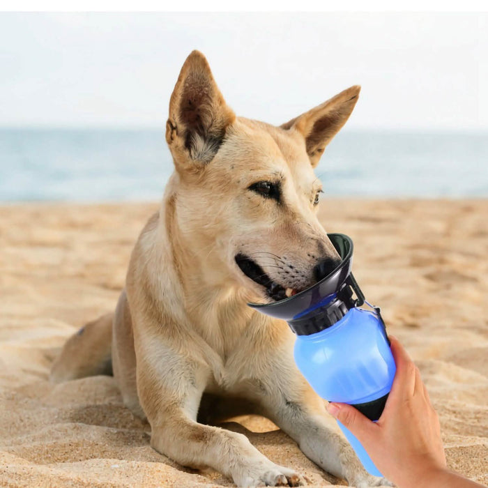 500ml Pet Water Bottle Portable Water Cup by DailySale