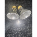 Replacement Bulb 50PAR20/H/FL, 120V 50W (2-Pack) by Price Is Right Miami