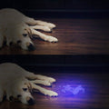 51 LED Ultraviolet Blacklight by DailySale