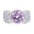 4.07 Carat Genuine Amethyst & Tanzanite .925 Sterling Silver Ring by Bids.com