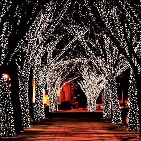 55' Solar-Powered 100-LED Fairy Light String - Warm White by DailySale