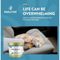 6X NaturVet Quiet Moments Calming Aid + Melatonin Soft Chews for Cats 60ct by Price Is Right Miami