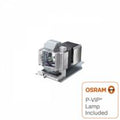 Projector Lamp for Vivitek D900 D925TX; Vivitek D900 D927TW; Vivitek D900 D929TX; Vivitek D900 D935E by Texas Depot