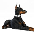 Sahara White Silicone Dog Collar - Apple AirTag = AT00018 by Zerodamage Sahara Case LLC