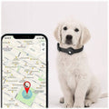 Adjustable Black Silicone Dog Collar for Large Dogs - Apple AirTag by Zerodamage Sahara Case LLC