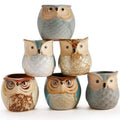 6-Pack: 2.5 Inch Owl Pot Ceramic Base by DailySale