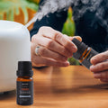 6-Pack: Gentlemen's 10ml Premium Grade Fragrance Essential Oil Gift Set by DailySale