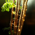 6-Pack: LED String Lights by DailySale