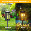 6-Pack: Solar Powered Stake Light IP65 Waterproof Auto On Off by DailySale