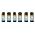 6-Pack: Summer Vibe Fresh Scented Aromatherapy Essential Oil For Diffusers Humidifiers by DailySale
