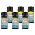 6-Pack: Summer Vibe Fresh Scented Aromatherapy Essential Oil For Diffusers Humidifiers by DailySale