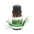 6-Pack: Therapeutic Aromatherapy Essential Oils Bottle by DailySale