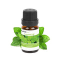 6-Pack: Therapeutic Aromatherapy Essential Oils Bottle by DailySale
