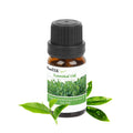 6-Pack: Therapeutic Aromatherapy Essential Oils Bottle by DailySale