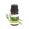 6-Pack: Therapeutic Aromatherapy Essential Oils Bottle by DailySale