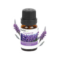 6-Pack: Therapeutic Aromatherapy Essential Oils Bottle by DailySale