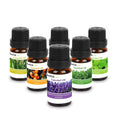 6-Pack: Therapeutic Aromatherapy Essential Oils Bottle by DailySale