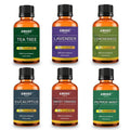 6-Piece: Aromatherapy Therapeutic Grade Essential Oils Gift Set by DailySale