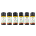 6-Piece: Island Gateway Pure Aromatherapy Essential Oil Set by DailySale