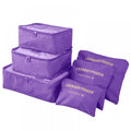 6-Piece: Travel Bag Set by DailySale