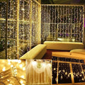 600 LED 9.8 x 19.6 FT. LED Curtain Lights with 8 Light Modes and Memory Function by DailySale