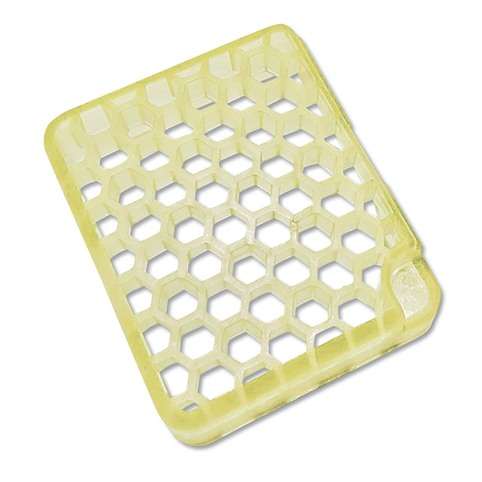 Fresh Products myfresh Refill, Tea Lily, 6/Box