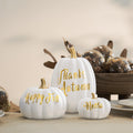 DN DECONATION 3 Pc Fall Pumpkin Decorations White Brown Black Resin Figurines by Deal US