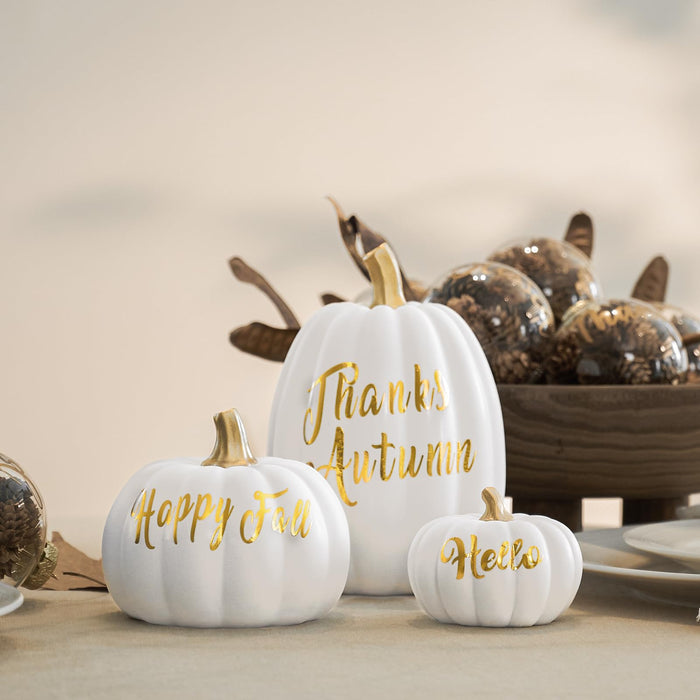 DN DECONATION 3 Pc Fall Pumpkin Decorations White Brown Black Resin Figurines by Deal US