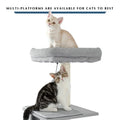 61.8" Cat Tree by DailySale
