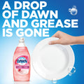 Dawn Ultra Gentle Clean, Pomegranate Splash, 24 oz Bottle