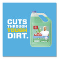 Mr. Clean Multipurpose Cleaning Solution with Febreze,128 oz Bottle, Meadows and Rain Scent, 4/Carton