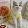 Wiz BBQT Chihuahua Yorkie Dog Dress Sleeveless Ruffles Bow Yellow Size L by Deal US