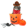 PEUTIER Pet Cowboy Costume Dog Hat & Bandana Brown Red Small by Deal US