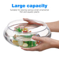 BESPORTBLE Transparent Desktop Aquarium Tank 9.52x9.52x3.93in 2800ml Plastic by Deal US