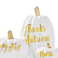 DN DECONATION 3 Pc Fall Pumpkin Decorations White Brown Black Resin Figurines by Deal US