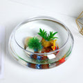 BESPORTBLE Transparent Desktop Aquarium Tank 9.52x9.52x3.93in 2800ml Plastic by Deal US