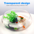 BESPORTBLE Transparent Desktop Aquarium Tank 9.52x9.52x3.93in 2800ml Plastic by Deal US