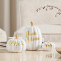 DN DECONATION 3 Pc Fall Pumpkin Decorations White Brown Black Resin Figurines by Deal US