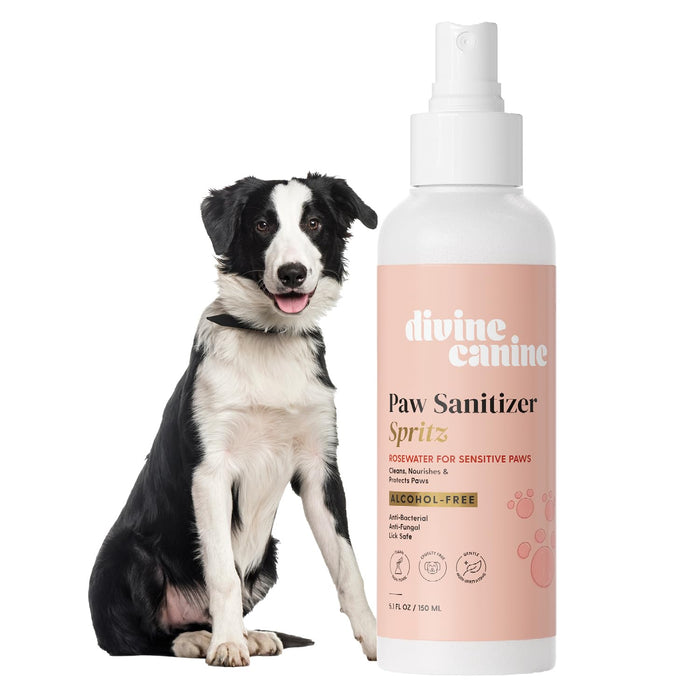 Dog Paw Cleaner Spray 5.1oz Alcohol Free Rosewater Aloe Copaiba Lemongrass USA by Deal US