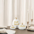 DN DECONATION 3 Pc Fall Pumpkin Decorations White Brown Black Resin Figurines by Deal US