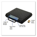 Brecknell Portable Electronic Utility Bench Scale, 250 lb Capacity, 12.5 x 10.95 x 2.2  Platform