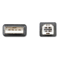 Innovera USB Cable, 6 ft, Black