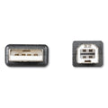 Innovera USB Cable, 10 ft, Black
