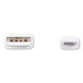 Innovera USB Lightning Cable, 3 ft, White