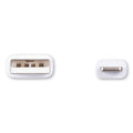 Innovera USB Lightning Cable, 10 ft, White