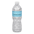 True Clear Purified Bottled Water, 16.9 oz Bottle, 24 Bottles/Carton