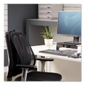 Fellowes Office Suites Mesh Back Support, 17.3 x 5.56 x 20.18, Black
